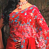 Georgette Saree